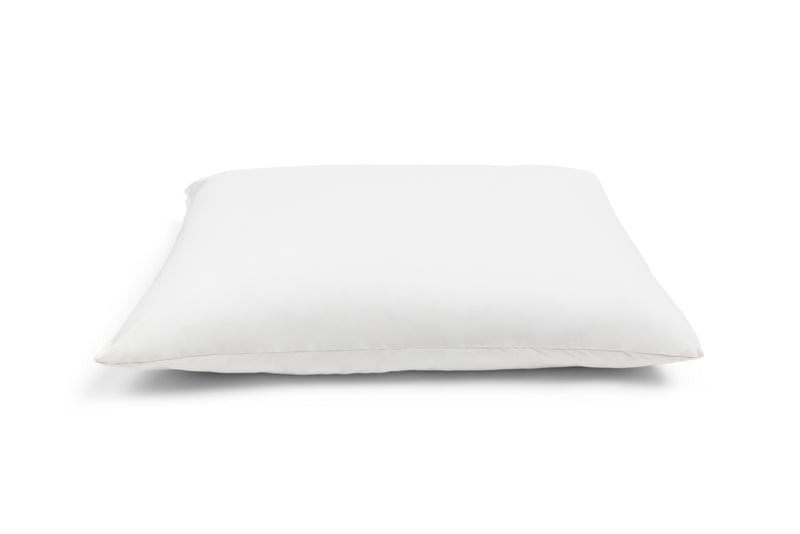 Organic Wool Pillow